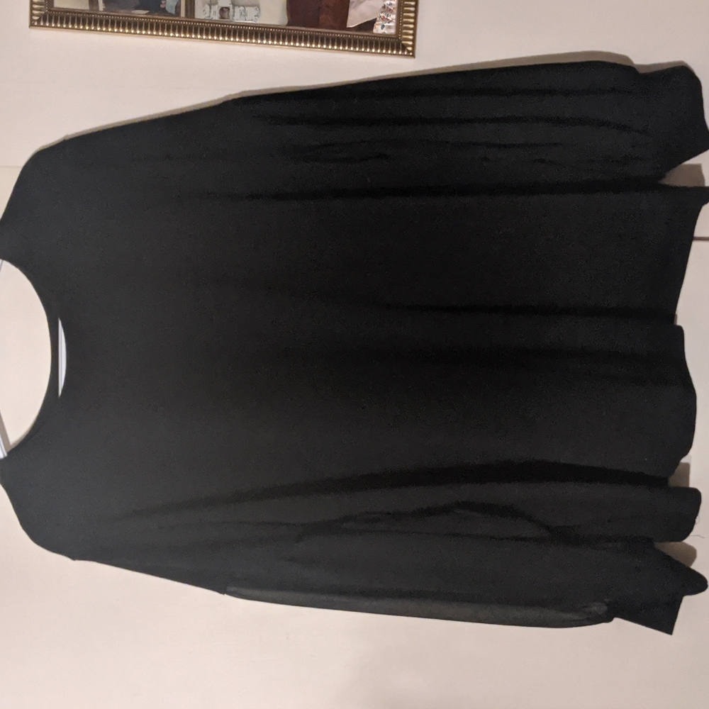Sweater with sheer sleeves